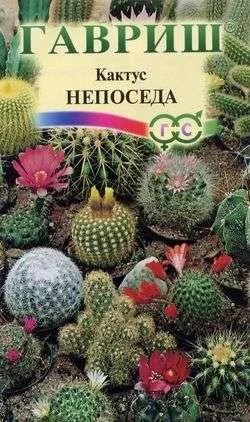 Лот: 11025153. Фото: 1. Кактус Непоседа*, смесь 0,05 г. Садовые цветы