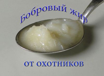 Лот: 11355868. Фото: 1. бобровый жир. Другое (продукты)