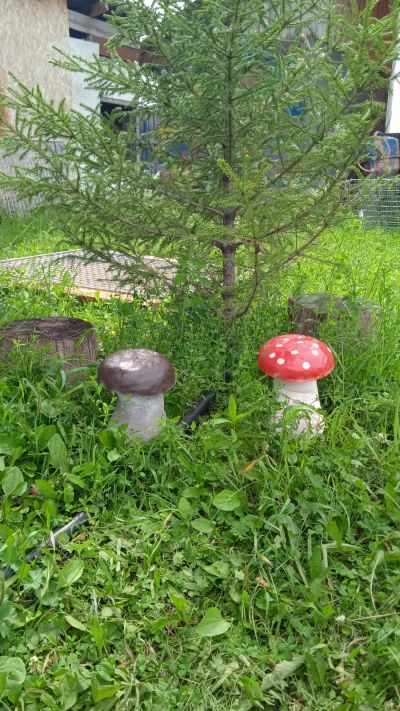 Лот: 20592670. Фото: 1. Садовая Фигурка гриба из бетона... Всё для ландшафта