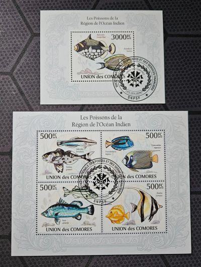 Лот: 25741831. Фото: 1. Марки: Коморы. 2010. Тропические... Марки