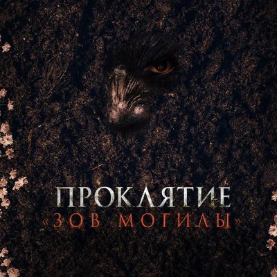 Лот: 24989485. Фото: 1. Проклятие. Зов из могилы. Видеозаписи, фильмы