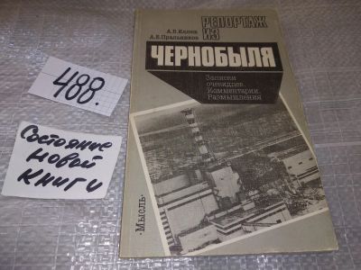 Лот: 17688332. Фото: 1. Иллеш А.В., Пральников А.Е. Репортаж... История