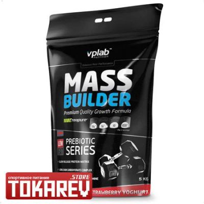 Лот: 4864672. Фото: 1. Гейнер VP Lab Mass Builder (VPlab... Спортивное питание, витамины