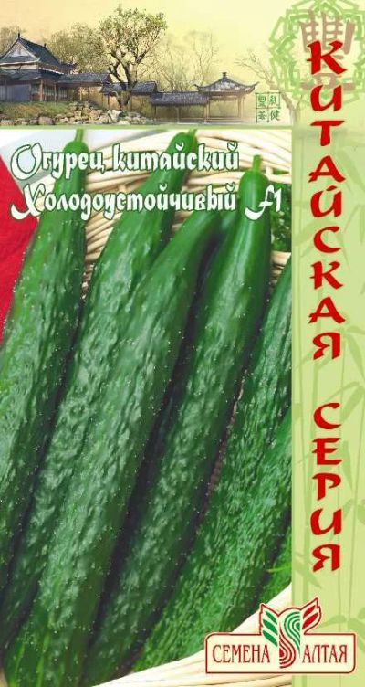 Лот: 10954966. Фото: 1. Семена огурца "Китайский холодоустойчивый... Овощи