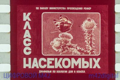 Лот: 5834355. Фото: 1. диафильм класс насекомых - зоология... Диафильмы, диапозитивы