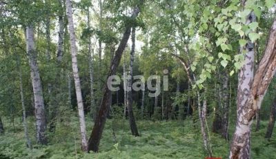 Лот: 25299370. Фото: 1. участок , дачный посёлок Ветеран... Земельные участки