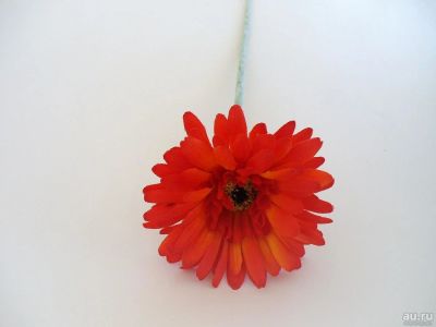 Лот: 9402591. Фото: 1. Реалистичные искусственные цветы... Искусственные и сувенирные цветы