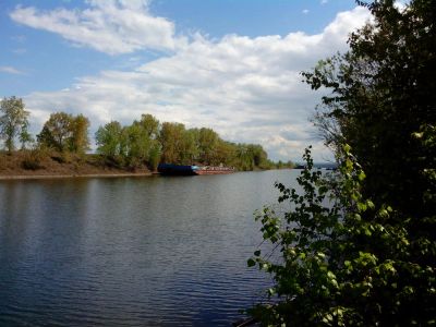 Лот: 9281379. Фото: 1. Участок 12 соток в Ермолаево возможен... Земельные участки