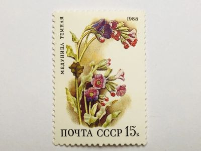 Лот: 23316418. Фото: 1. Цветы. Цветы лиственных лесов... Марки