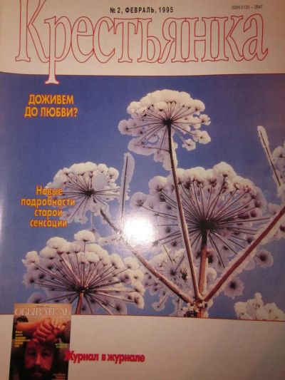 Лот: 4022555. Фото: 1. Журнал "Крестьянка" №2-1995. Другое (журналы, газеты, каталоги)