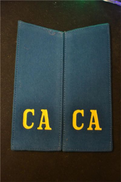 Лот: 11093948. Фото: 1. Погоны СА (синие). Нашивки, шевроны, погоны