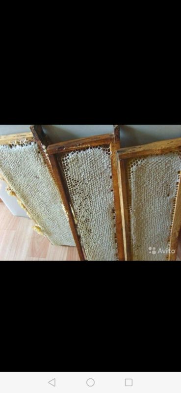 Лот: 18258684. Фото: 1. Мёд в сотах. Мёд, продукты пчеловодства