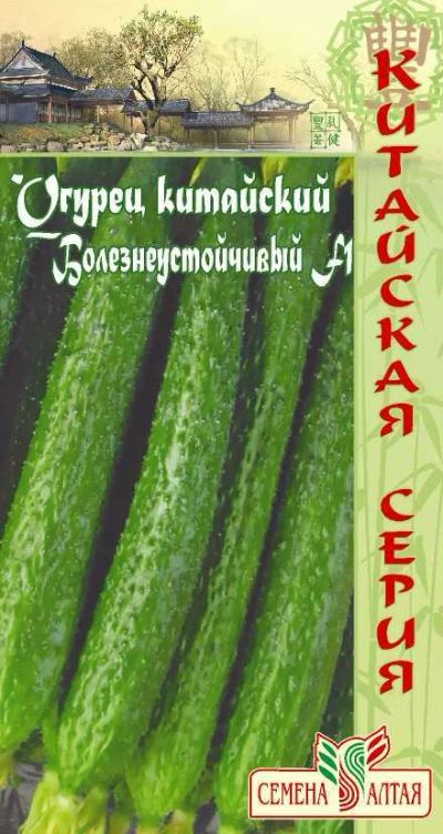Лот: 10843809. Фото: 1. Семена огурца "Китайский болезнеустойчивый... Овощи