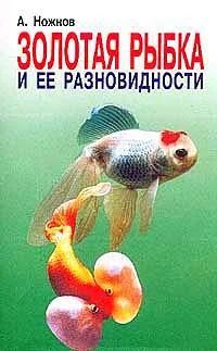 Лот: 3356991. Фото: 1. Золотая рыбка и ее разновидности... Другое (аквариумистика)