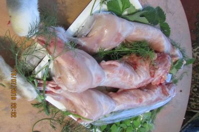 Лот: 16921246. Фото: 1. мясо кролика есть всегда. Мясо, птица, яйцо