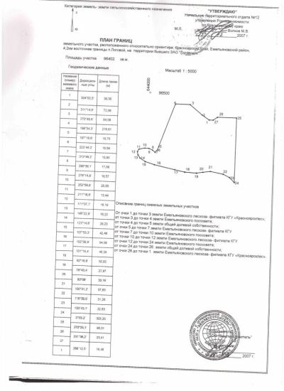 Лот: 2423042. Фото: 1. Земля Солонцы Логовой 10га. Земельные участки