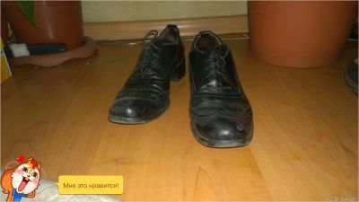 Лот: 7169123. Фото: 1. ботинки кожаные 37. Ботинки, полуботинки