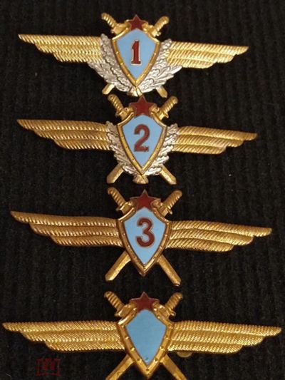 Лот: 16134876. Фото: 1. знак классность офицерский ВВС... Сувенирные