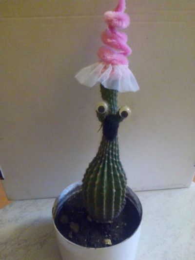 Лот: 15754034. Фото: 1. Комнатный питомец "crazy cactus... Горшечные растения и комнатные цветы