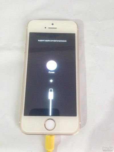Лот: 9916246. Фото: 1. Iphone 5s Gold 16gb. Смартфоны