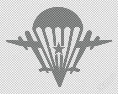 Лот: 641628. Фото: 1. виниловая наклейка =вдв (01)=. Детали тюнинга