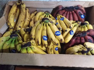 Лот: 15247589. Фото: 1. Лот №5, Бананы некондиция. Овощи, фрукты, зелень