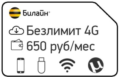 Лот: 11748078. Фото: 1. безлимитный интернет билайн ЗА... Красноярск