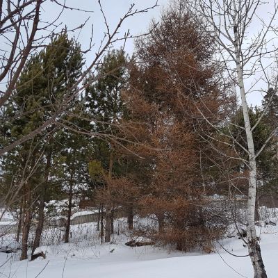 Лот: 8031453. Фото: 1. Земельный участок, Мал. Кускунка. Земельные участки