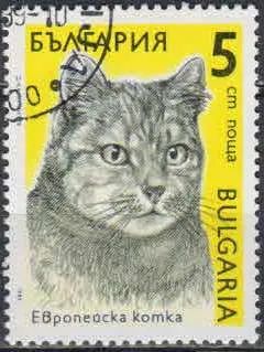 Лот: 21422493. Фото: 1. 1989. Болгария. Кошки. н.с... Марки