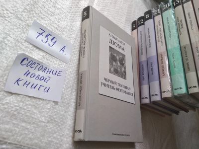 Лот: 11460030. Фото: 1. Черный тюльпан. Учитель фехтования... Художественная