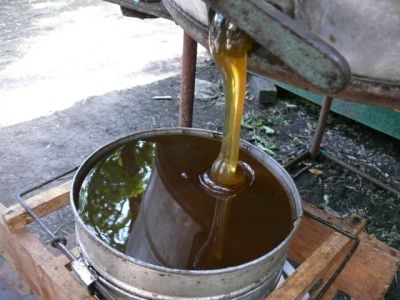 Лот: 5885942. Фото: 1. продам свежий мёд собственная... Мёд, продукты пчеловодства