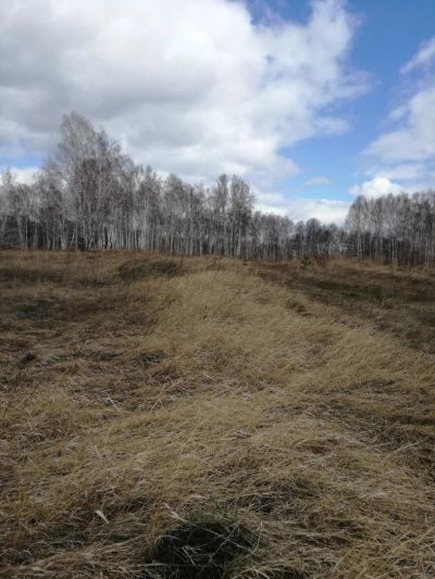 Лот: 11520125. Фото: 1. Продам земельные участки Емельяновский... Земельные участки