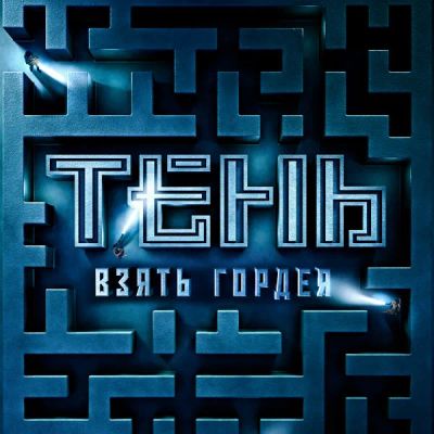 Лот: 24291245. Фото: 1. Тень. Взять Гордея. Видеозаписи, фильмы