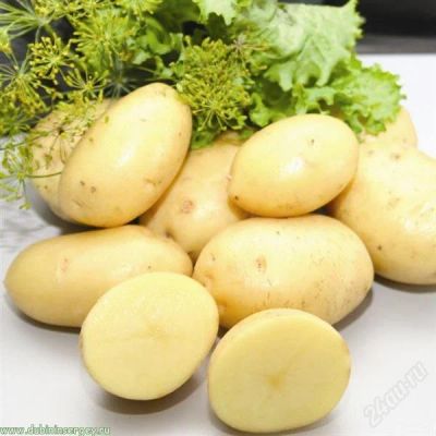 Лот: 1172486. Фото: 1. шушенский картофель 2011 года... Картофель
