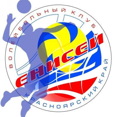 Лот: 25760919. Фото: 1. Волейбол 4 билета сегодня Кубок... Другое (спортивные товары)