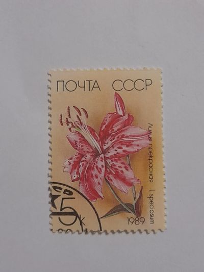 Лот: 19457373. Фото: 1. Марка цветок. Марки