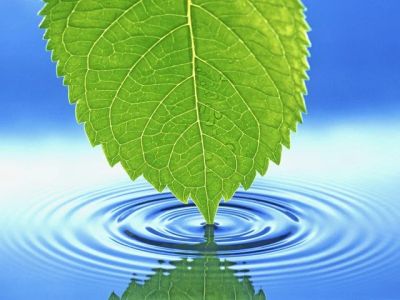 Лот: 5739270. Фото: 1. Настоящая родниковая вода 5 литров... Напитки