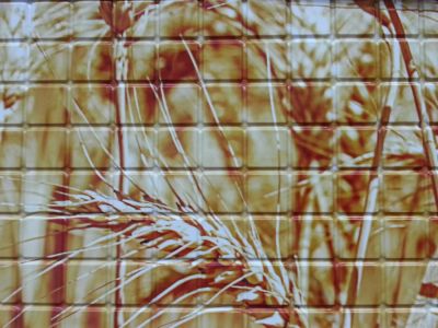 Лот: 7562040. Фото: 1. Панель стеновая ПВХ Мозаика Пшеница... Обои, панели, ДВП, ДСП, МДФ