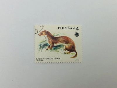 Лот: 23314489. Фото: 1. Животные под защитой. Ласка. Фауна... Марки