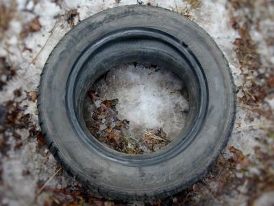 Лот: 6479423. Фото: 1. Шина Contyre Arctic Ice (175/65... Шины