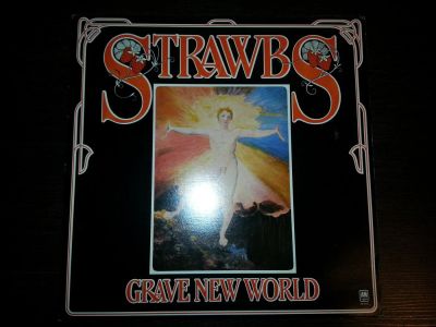 Лот: 11296079. Фото: 1. Strawbs - Grave New World, A&M... Аудиозаписи