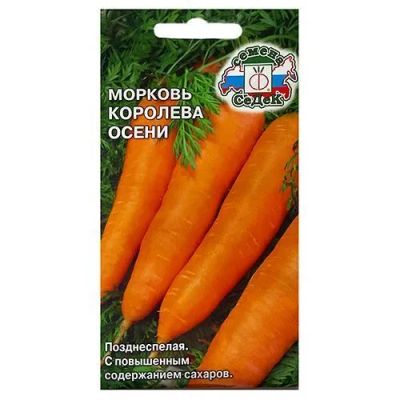 Лот: 22039243. Фото: 1. Морковь Королева осени Седек. Садовые цветы