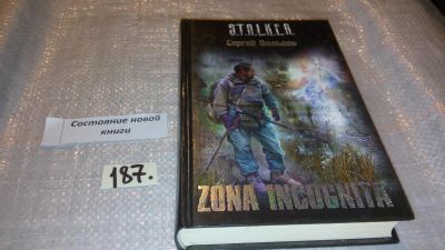 Лот: 7694803. Фото: 1. Zona Incognita, Сергей Вольнов... Художественная