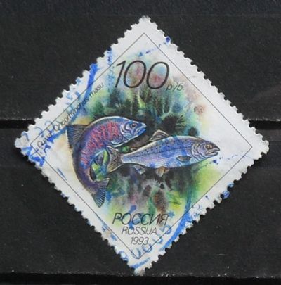 Лот: 12189186. Фото: 1. Марка Россия - 93-1(2). Марки