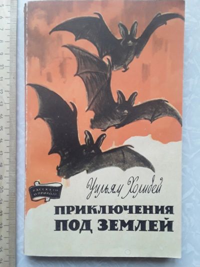 Лот: 16500108. Фото: 1. Холидей У. Приключения под землей... Другое (литература, книги)