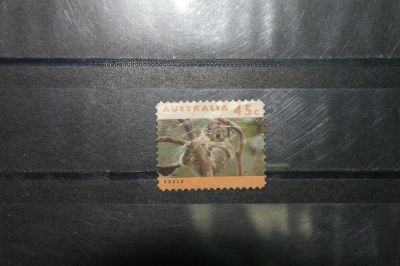 Лот: 4181346. Фото: 1. с рубля марка16 Австралия фауна. Марки