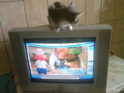 Лот: 9781055. Фото: 1. Elenberg 2108 Экран 21дюйм диагональ... Телевизоры