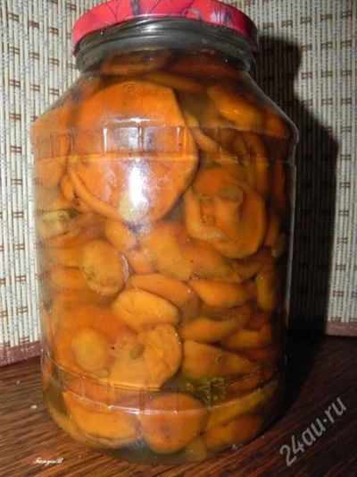 Лот: 2101549. Фото: 1. рыжики очень вкусные. Грибы