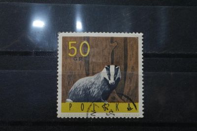 Лот: 3961221. Фото: 1. марка 10 Польша 1965 г фауна. Марки