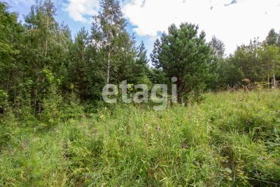 Лот: 25288863. Фото: 1. участок , СНТ Овинный СНТ Овинный... Земельные участки
